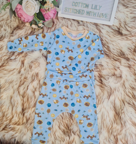 BOYS PAJAMA SET
